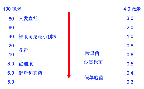 小顆粒的相對(duì)尺寸